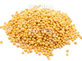 White Sesame